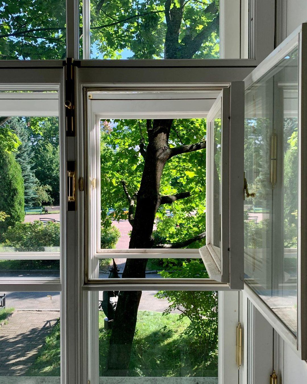 Window cleaning before and after in Shropshire